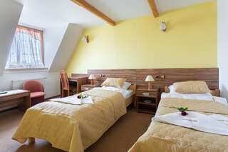 Отель Hotel Góralski Raj Новы-Тарг Двухместный номер с 1 кроватью или 2 отдельными кроватями-3