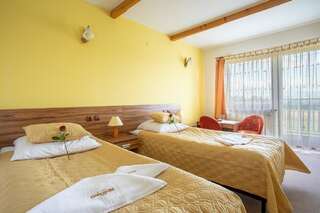 Отель Hotel Góralski Raj Новы-Тарг Двухместный номер с 1 кроватью или 2 отдельными кроватями-6