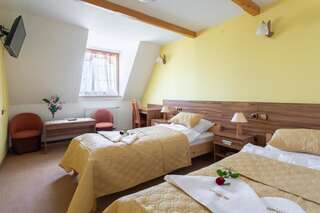 Отель Hotel Góralski Raj Новы-Тарг Двухместный номер с 1 кроватью или 2 отдельными кроватями-10